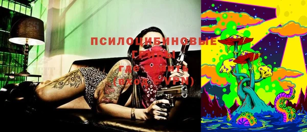 spice Арсеньев