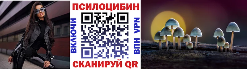 ссылка на мегу маркетплейс  цена   Боровск  Псилоцибиновые грибы Cubensis 